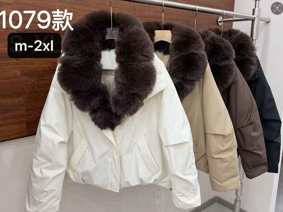 Women's Puffer Jacket wholesale ready stock custom logo PJ-0815-010 image 2